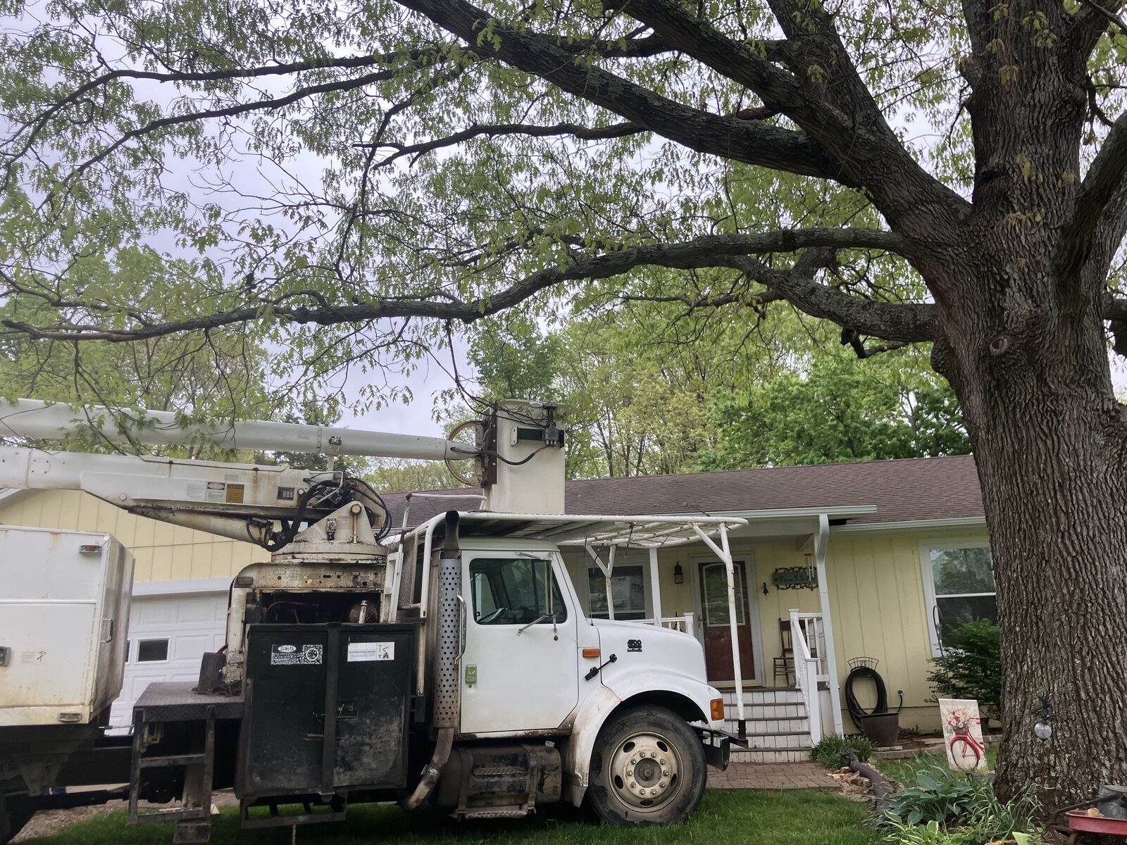 Bucket truck set up to trim a large tree overhanging the home.
