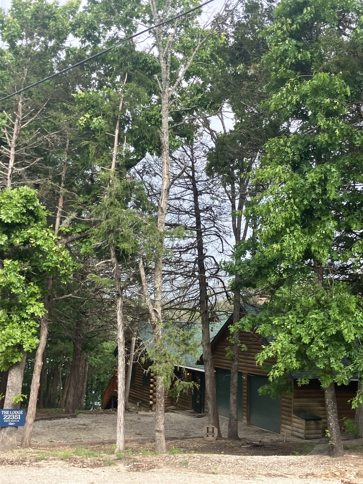 Dead tree leaning toward the cabin and power lines.