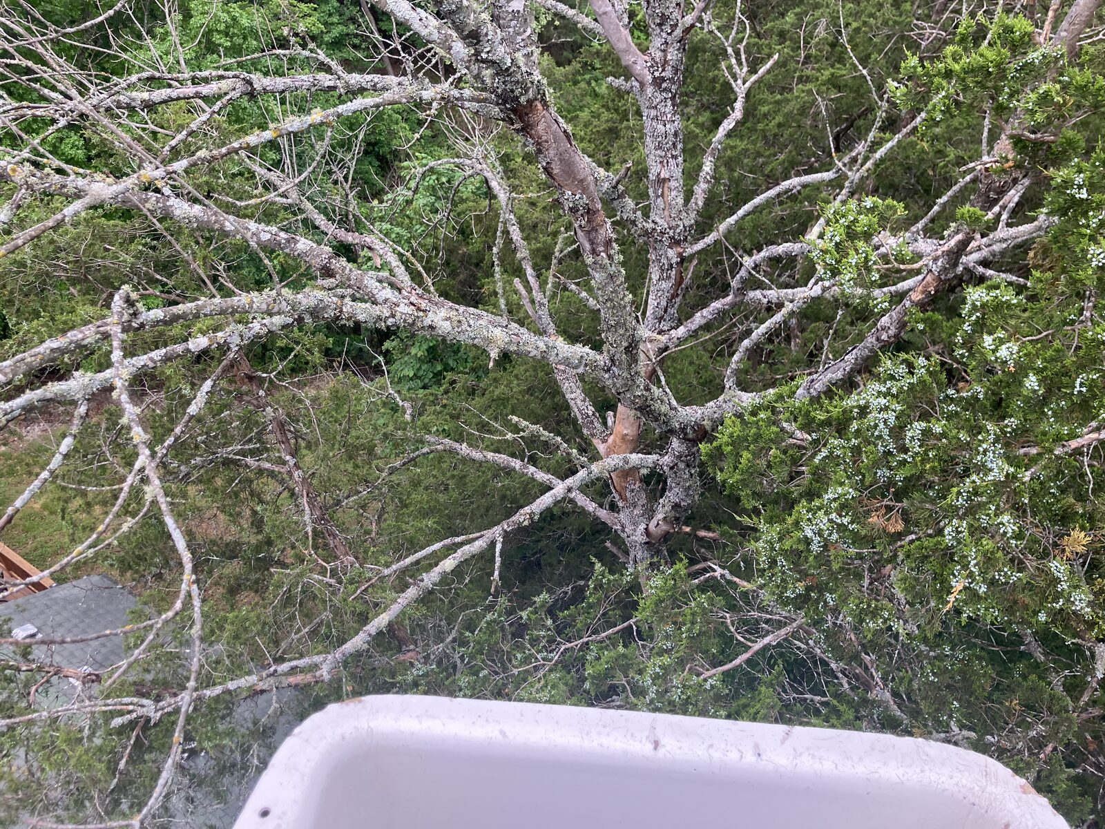 Top-down view of careful removal next to the cabin roof.