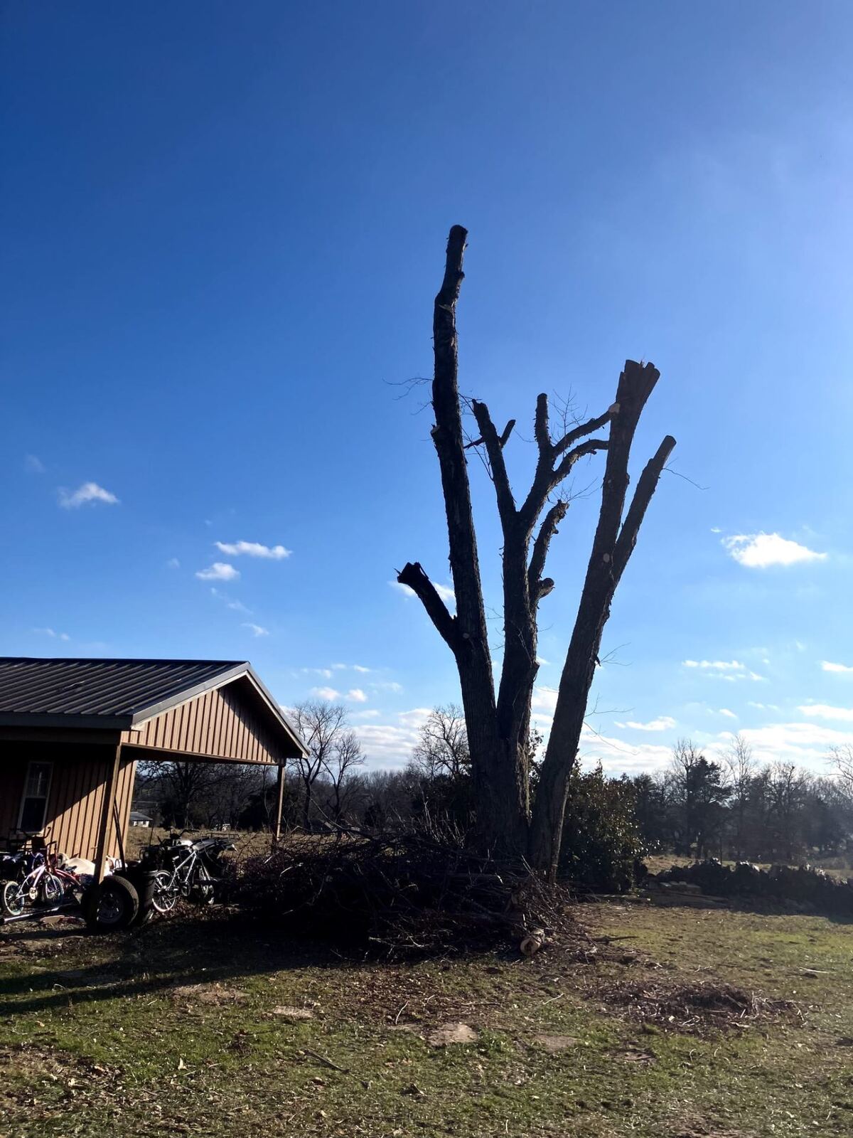 Tree cut back and debris removed.