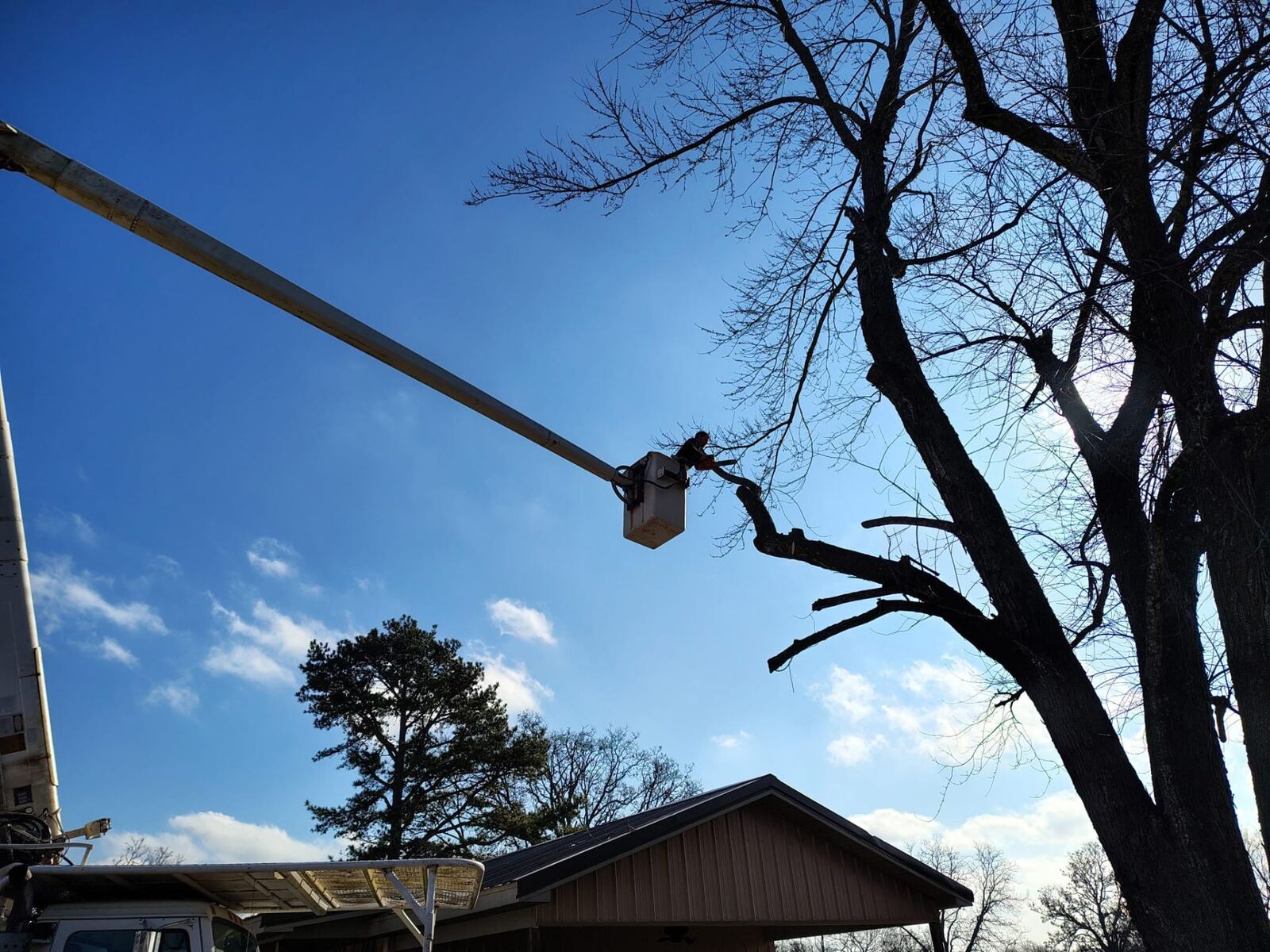 Bucket truck used for safe tree cutting.